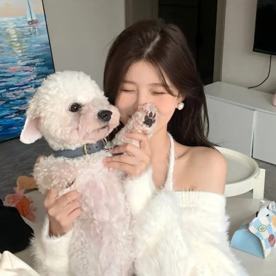 哈兰镇之战 海报